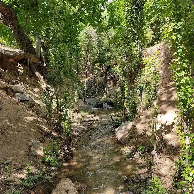 زمین بنادک سادات