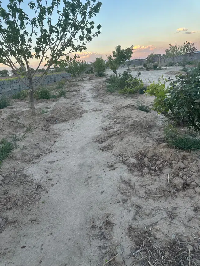 باغ و باغچه ۱۷۰۰ متری