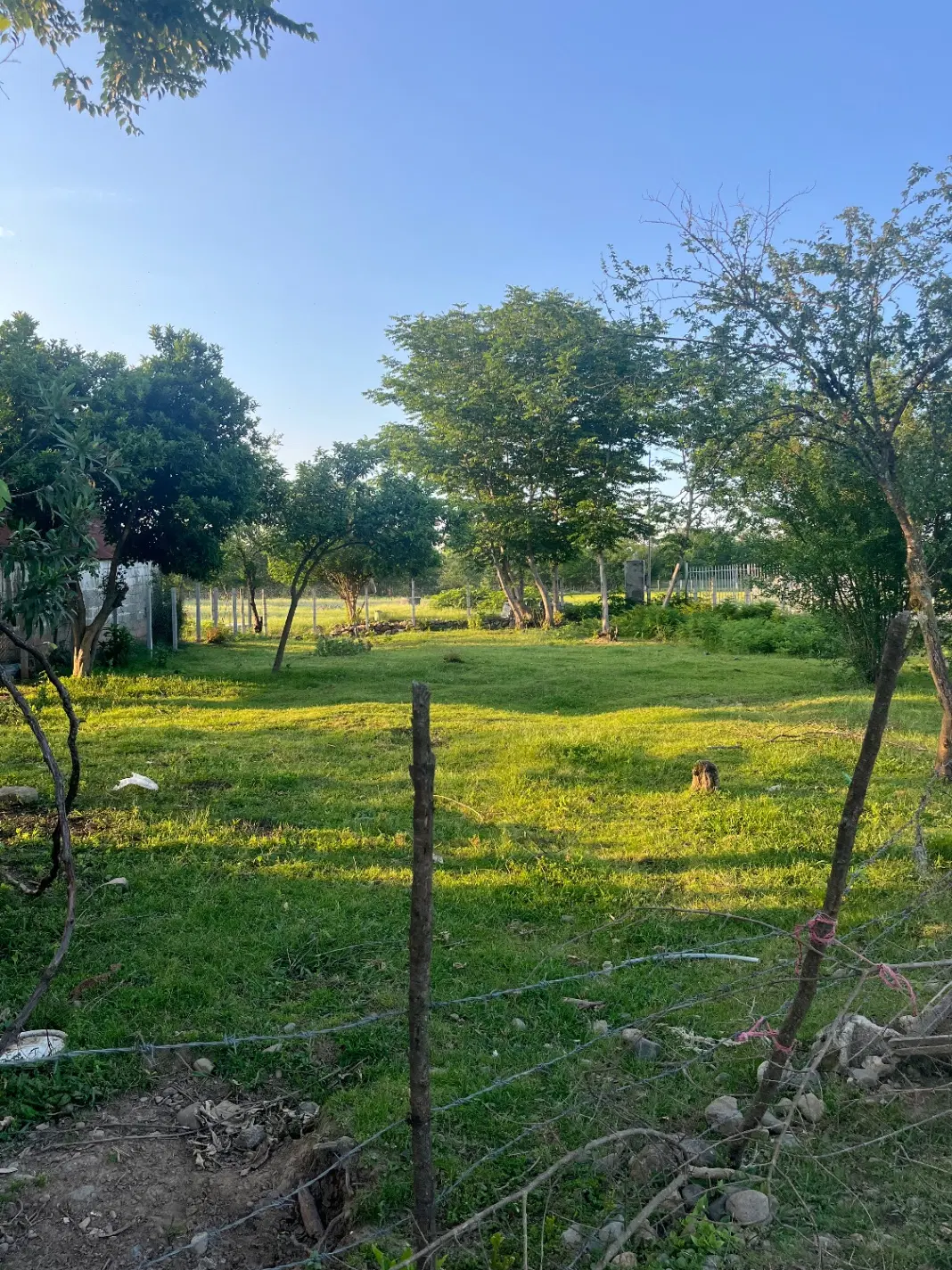 یک قطعه زمین کوهپایه ای ۵۰۰ متری نزدیک رودخانه