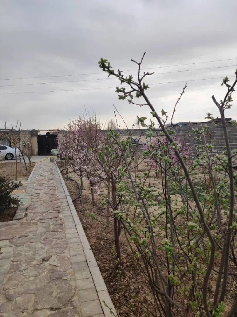 باغ ویلا