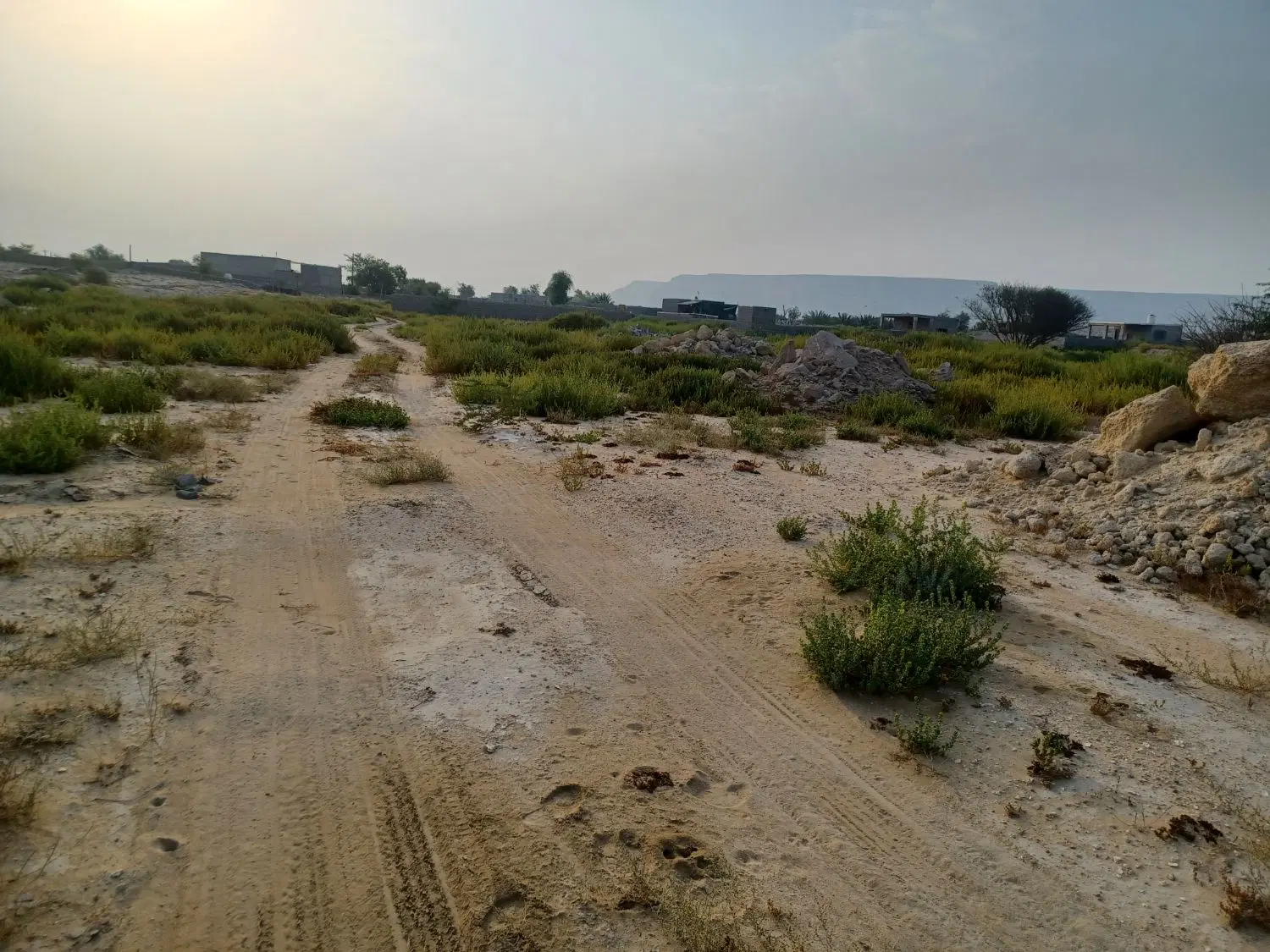 زمین کووئی