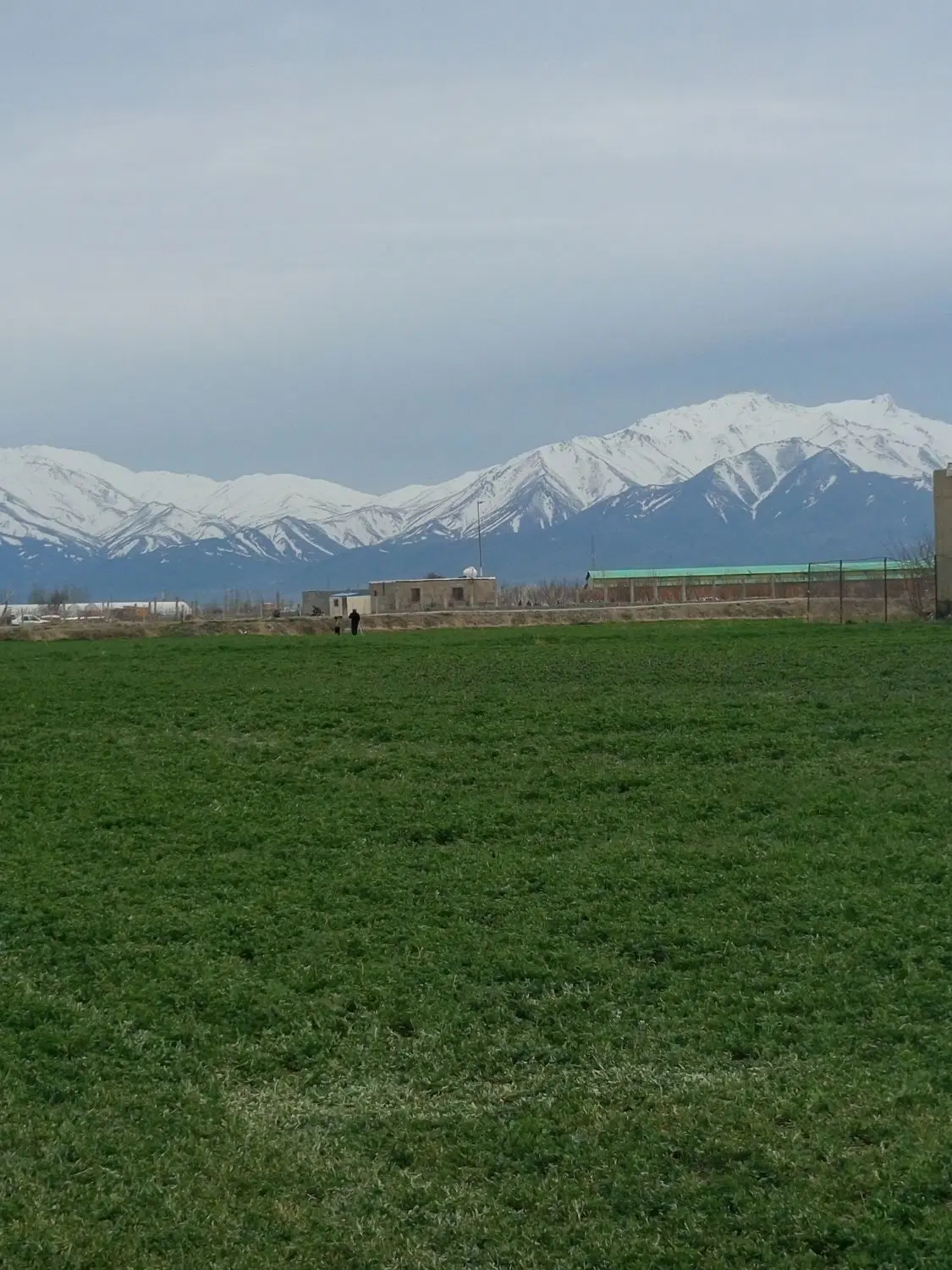 زمین مسکونی تجاری