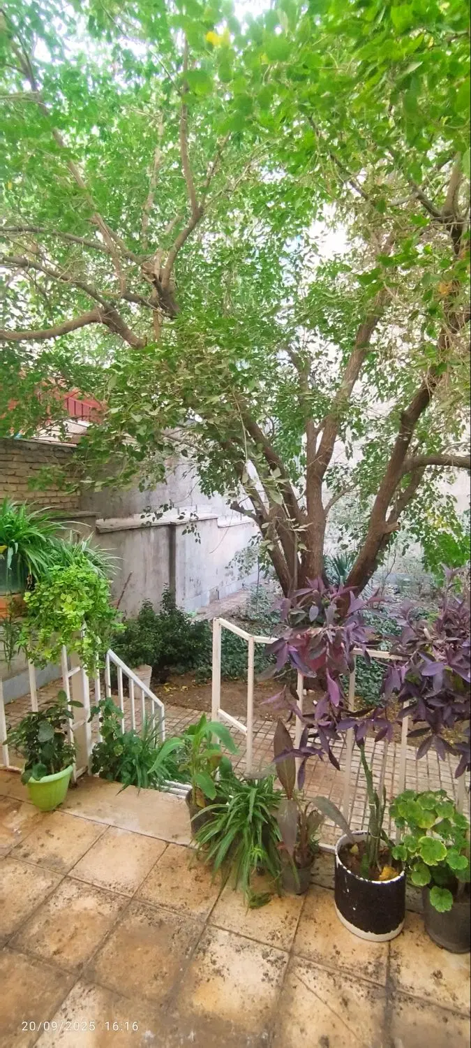خانه ویلایی با حیاط
