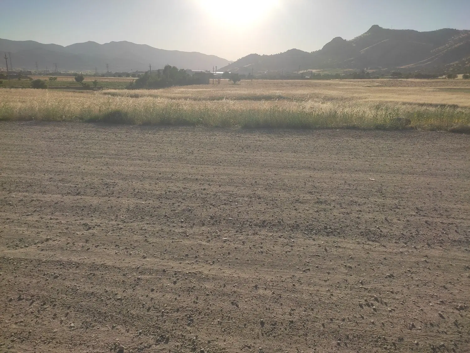 زمین کشاورزی