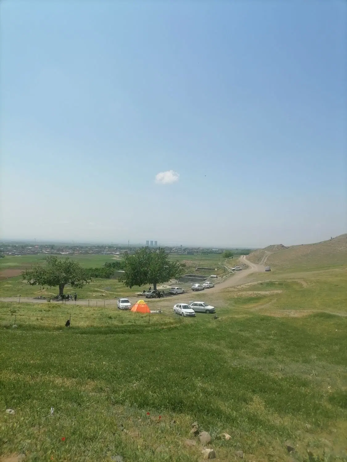 زمین و باغ