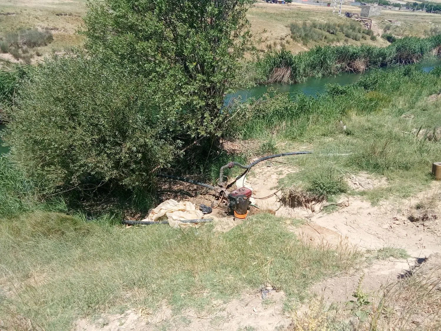 زمین کشاورزی دشتروم