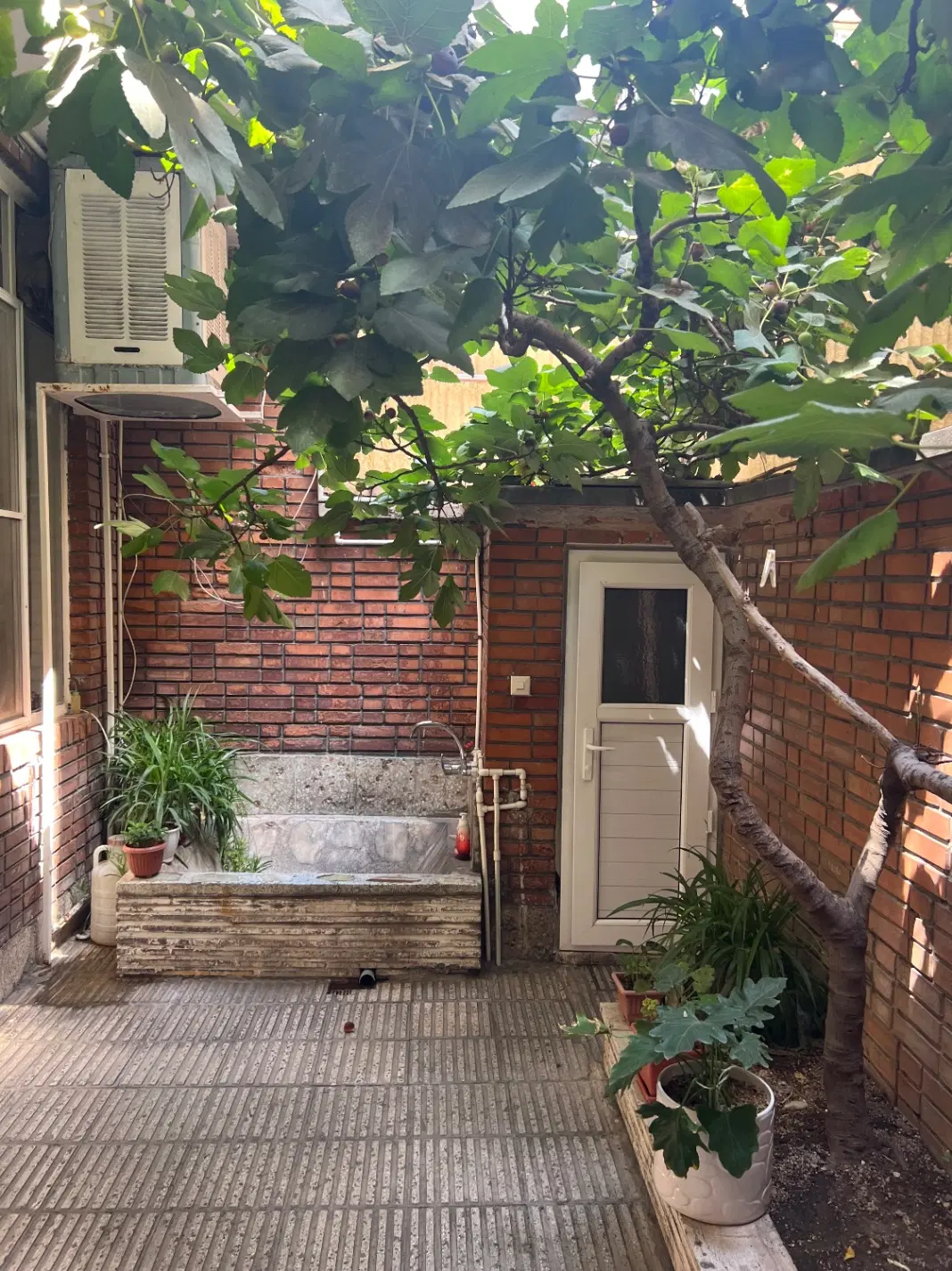 ملک کلنگی مناسب سرمایه گذاری