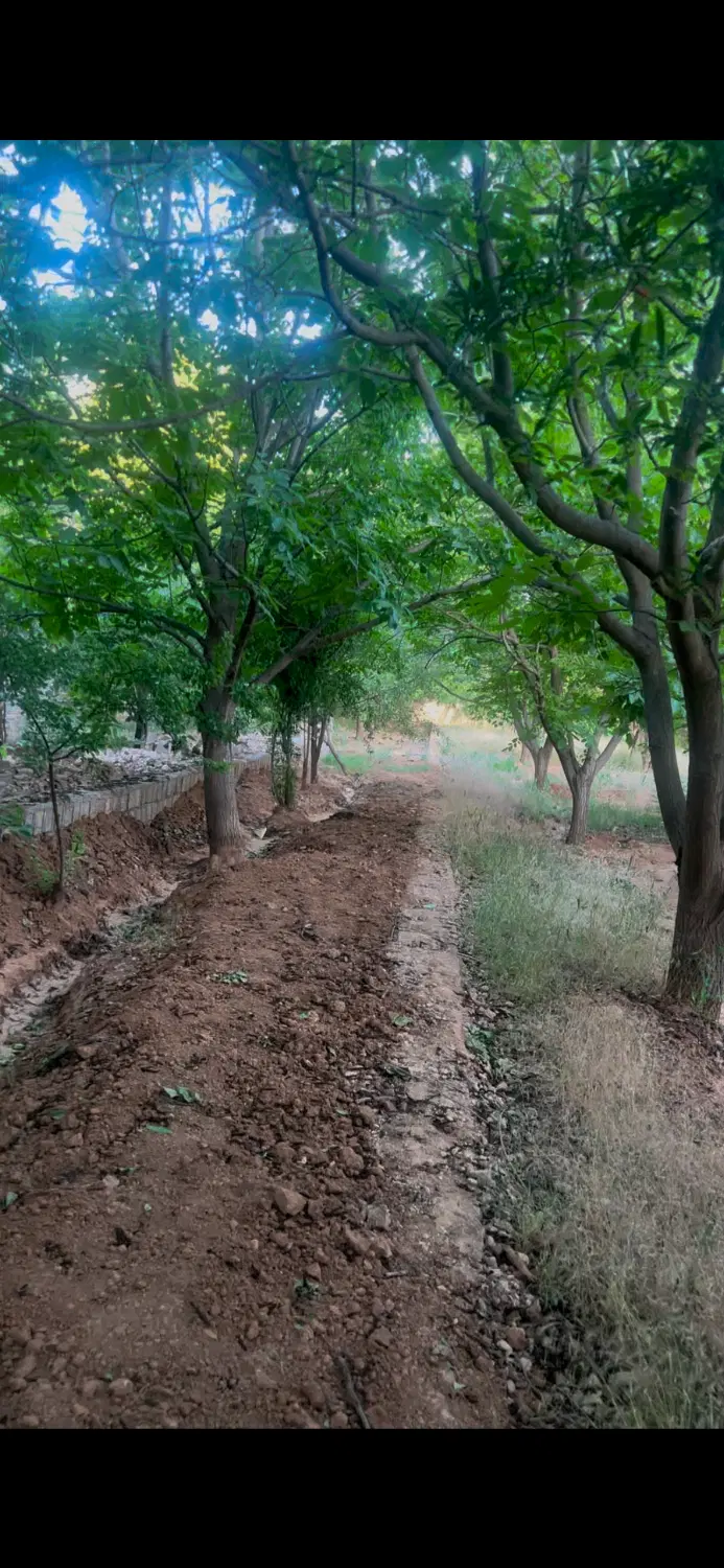 باغ  گودگویم