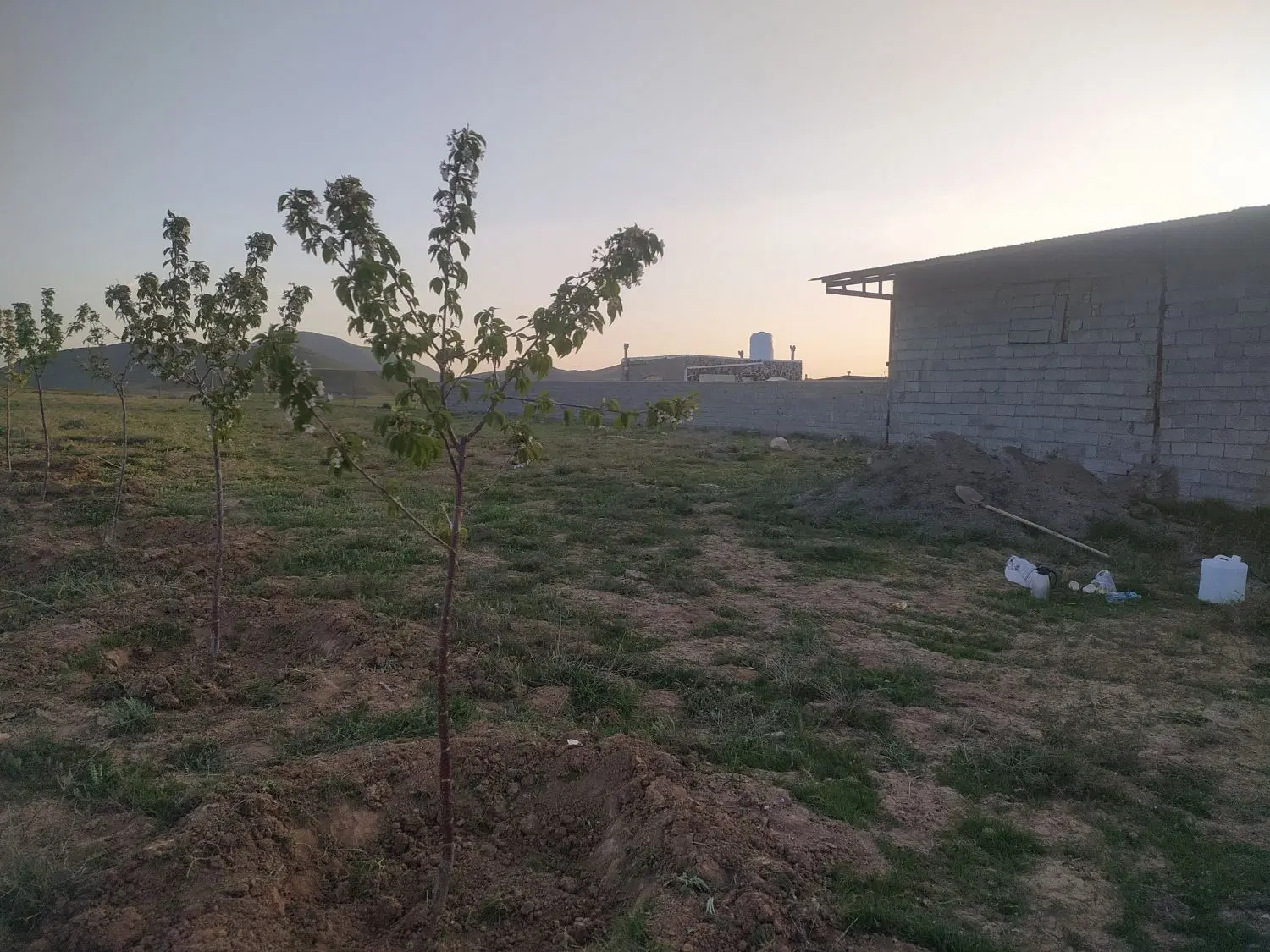 فروش زمین اسپیران عتیق