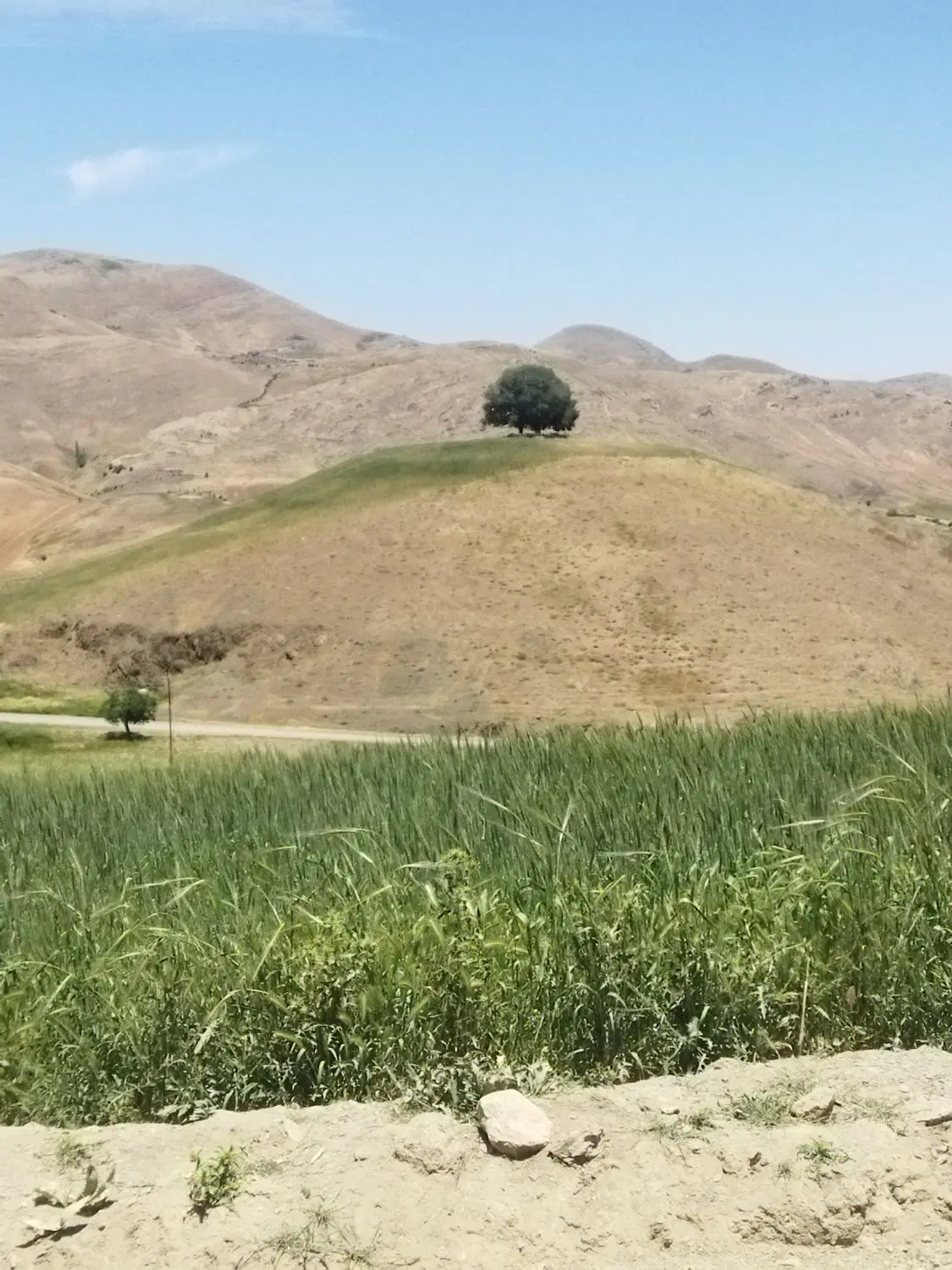 مسکن ملی فاز 6