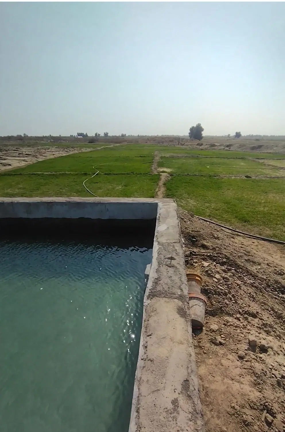 زمین کشاورزی