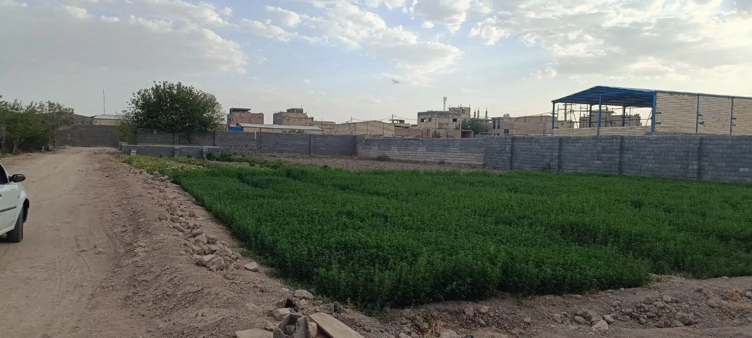 زمین کشاورزی