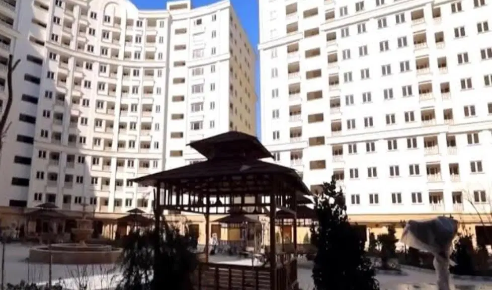 به همخونه نیازمندم