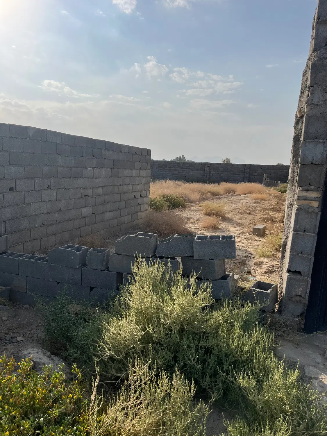 زمین باغی