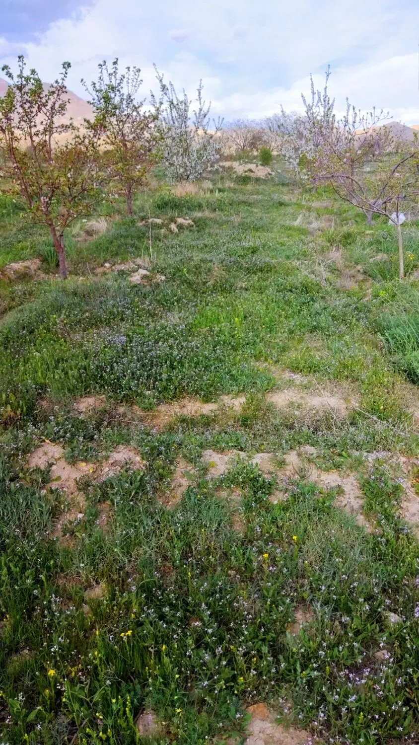 باغ 1800 متری در حیدرآباد خوی