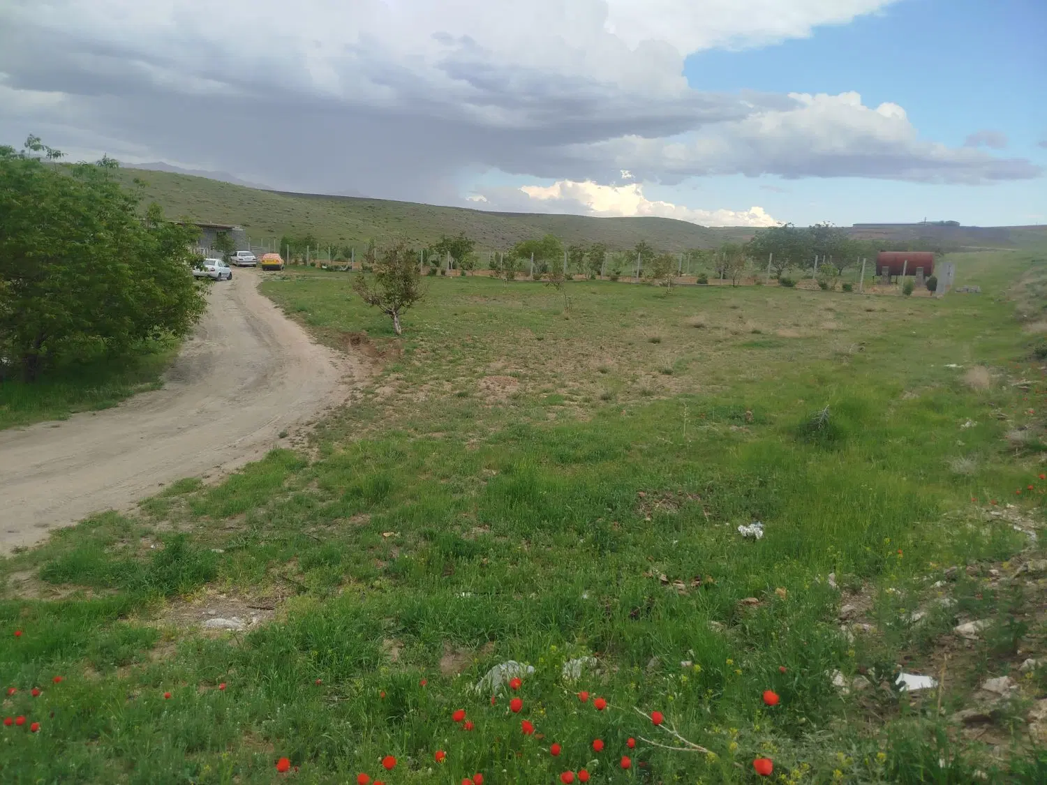 فروش زمین باغی