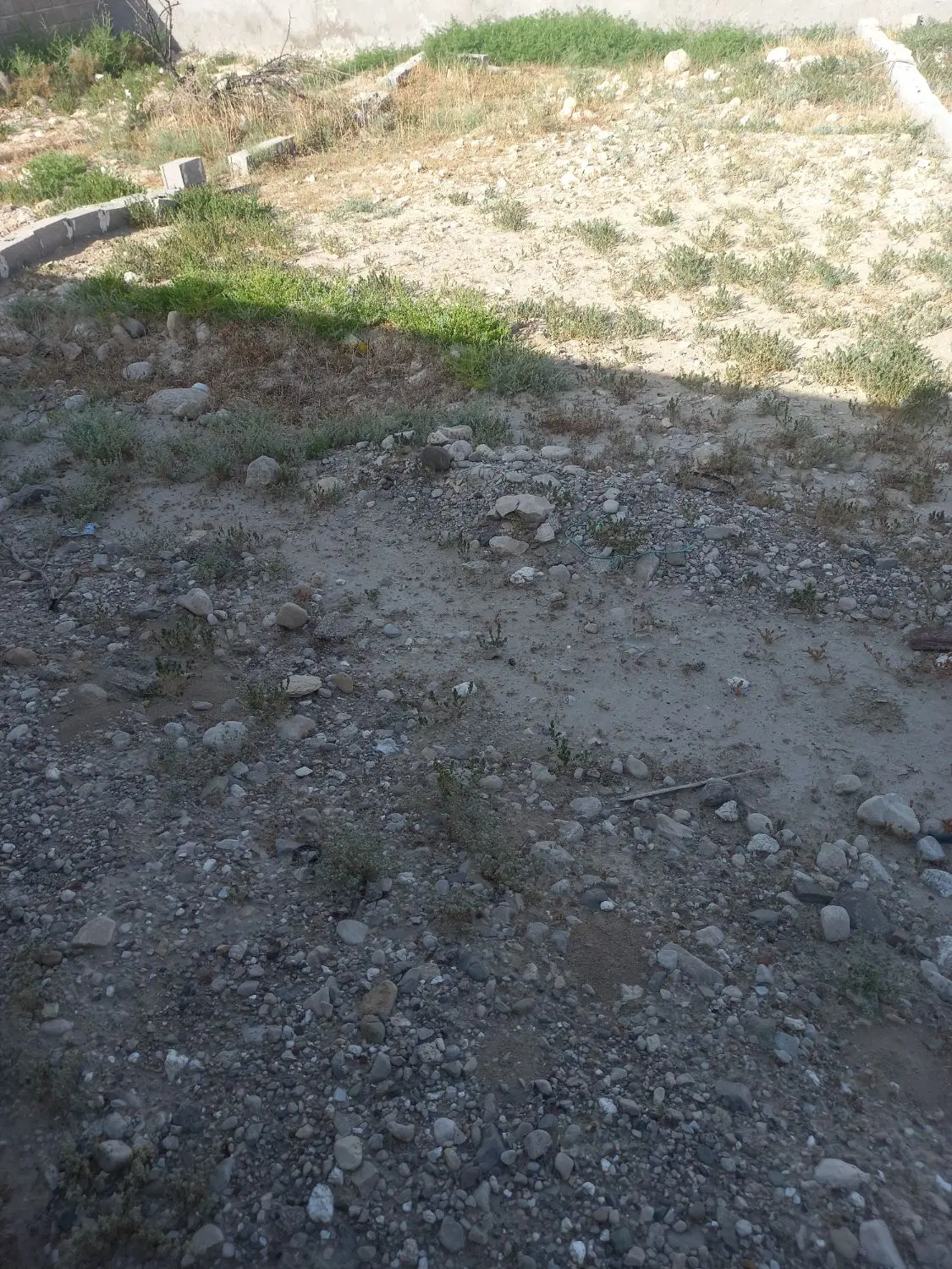 زمین تجاری بردخون