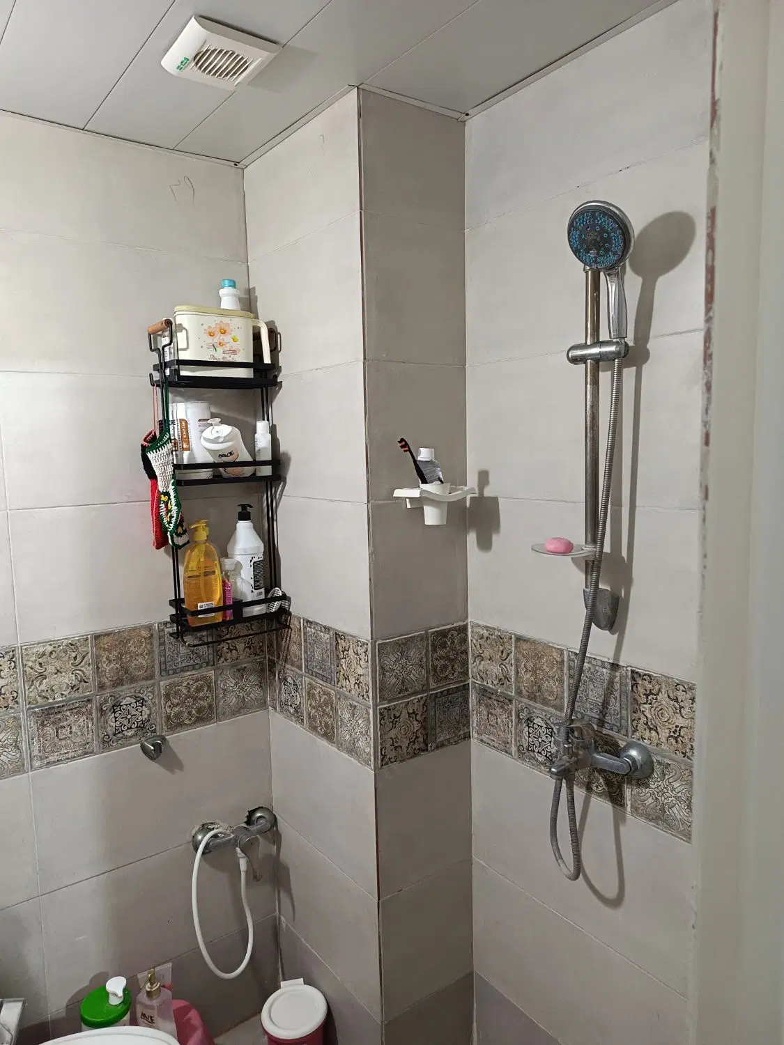 اجاره آپارتمان یک خوابه رهدشت شیروانی قرمز