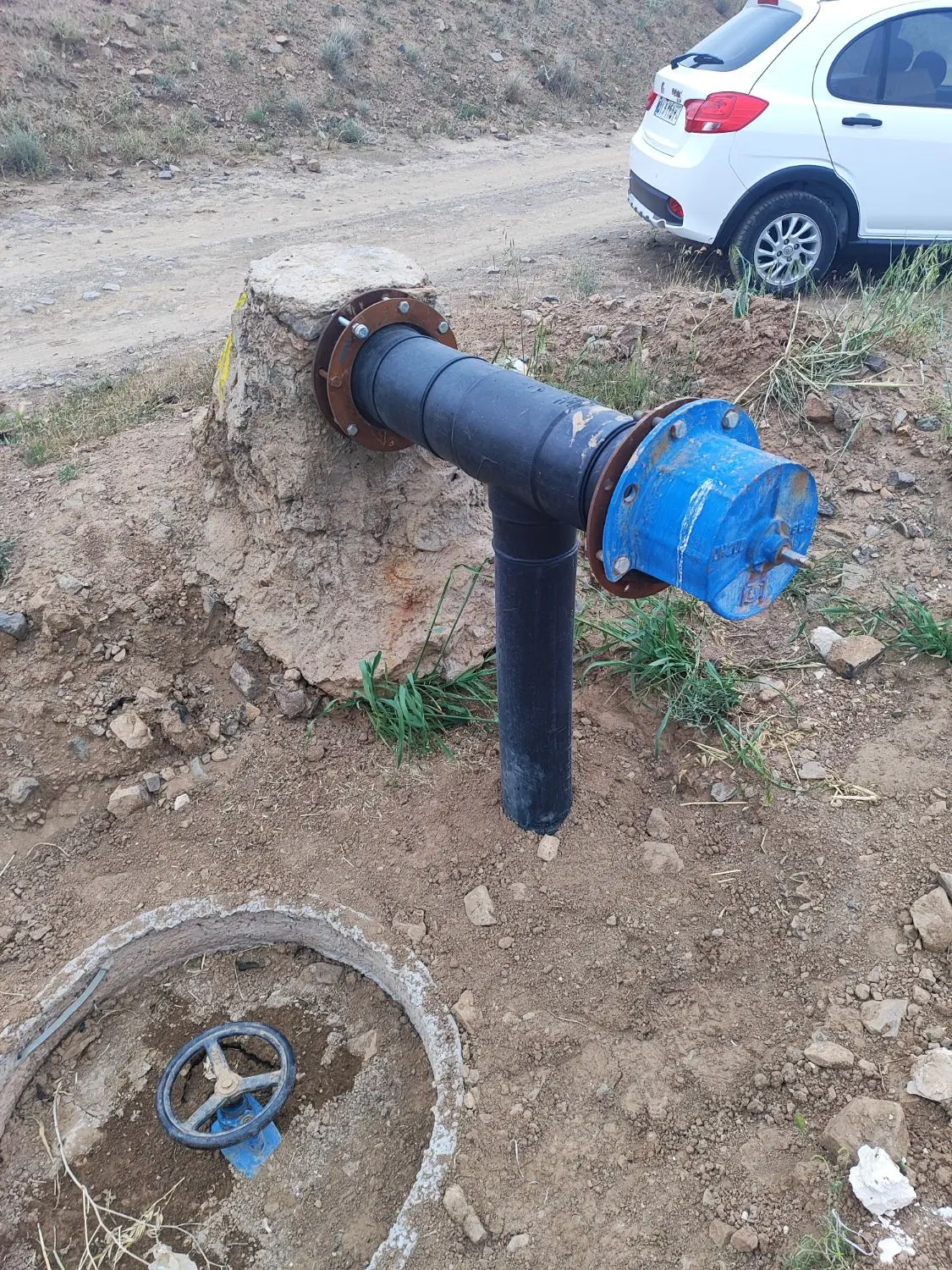 باغ انار ساوه یک هکتار
