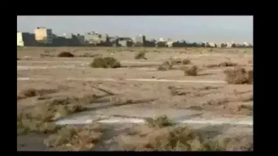 زمین ۵۰متری