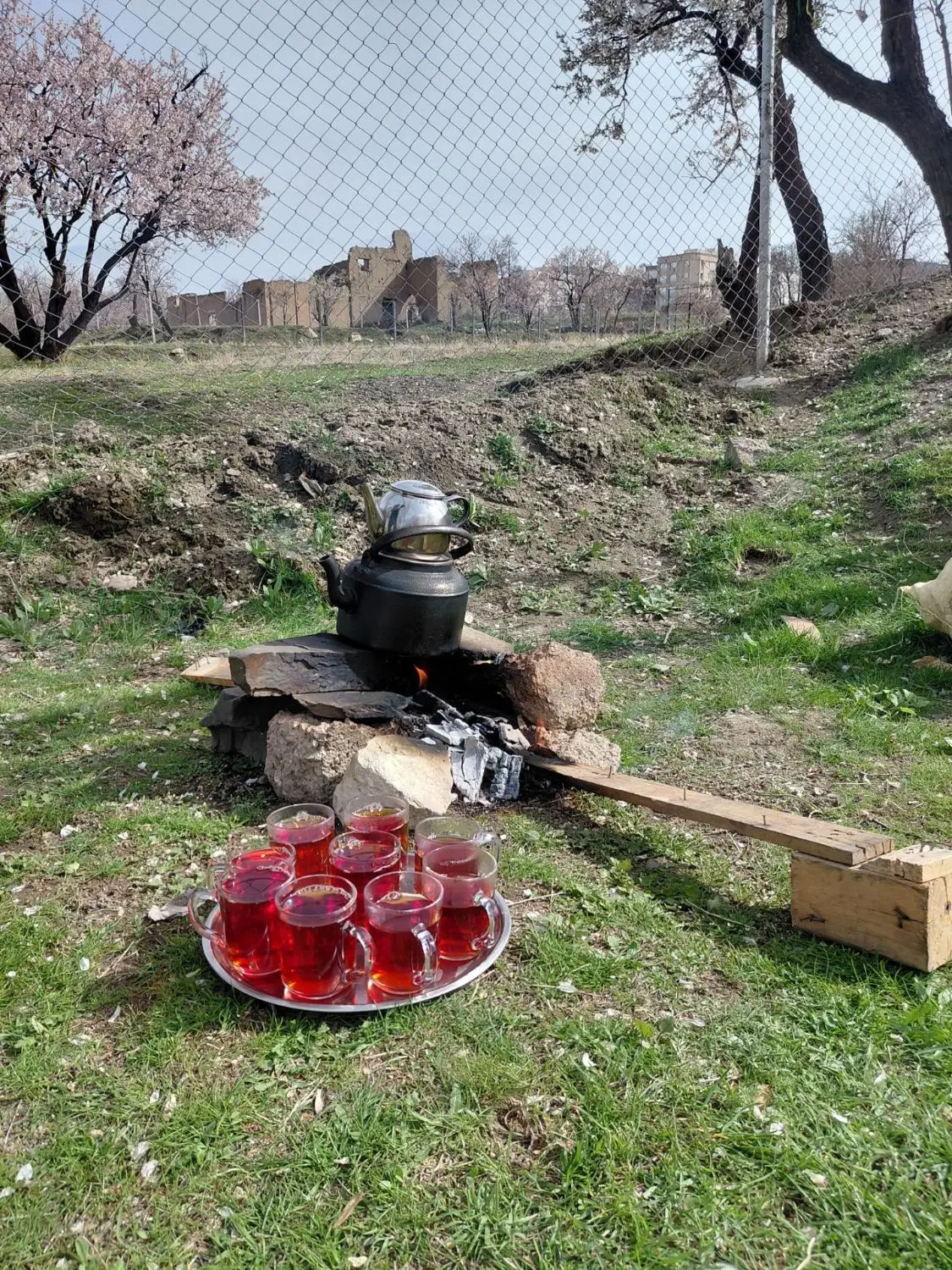 ۲۵۰ متر باغچه