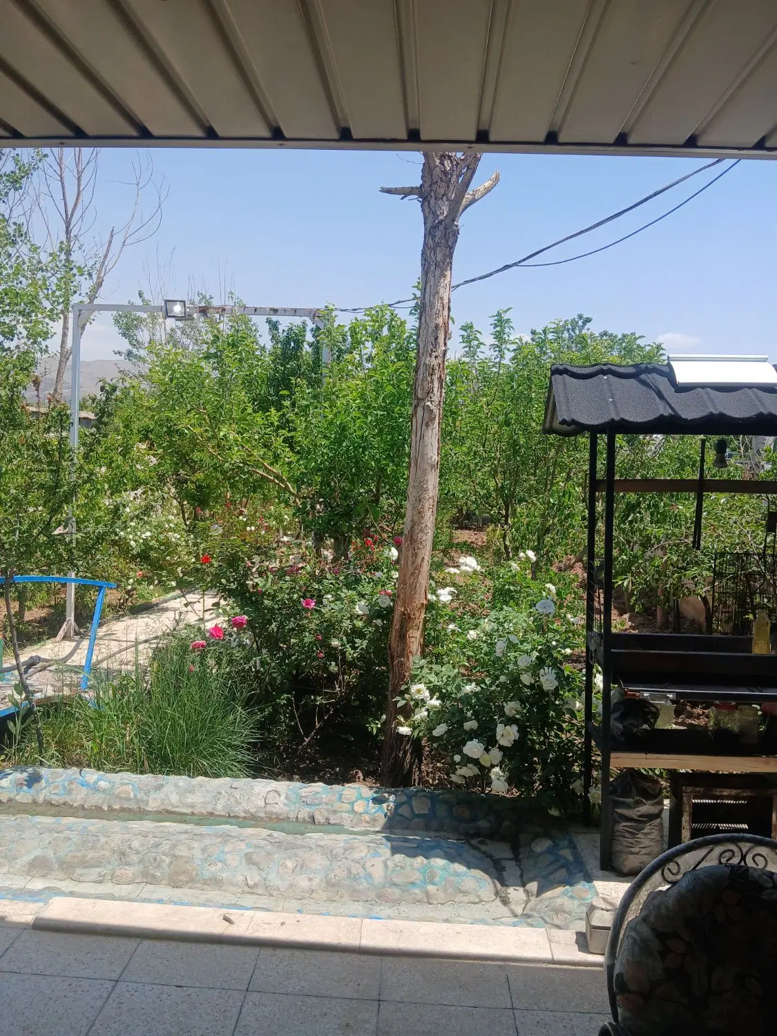 باغچه زیبا