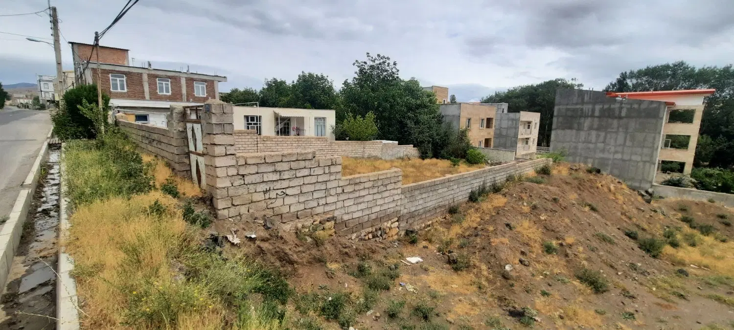 زمین سند تک برگ