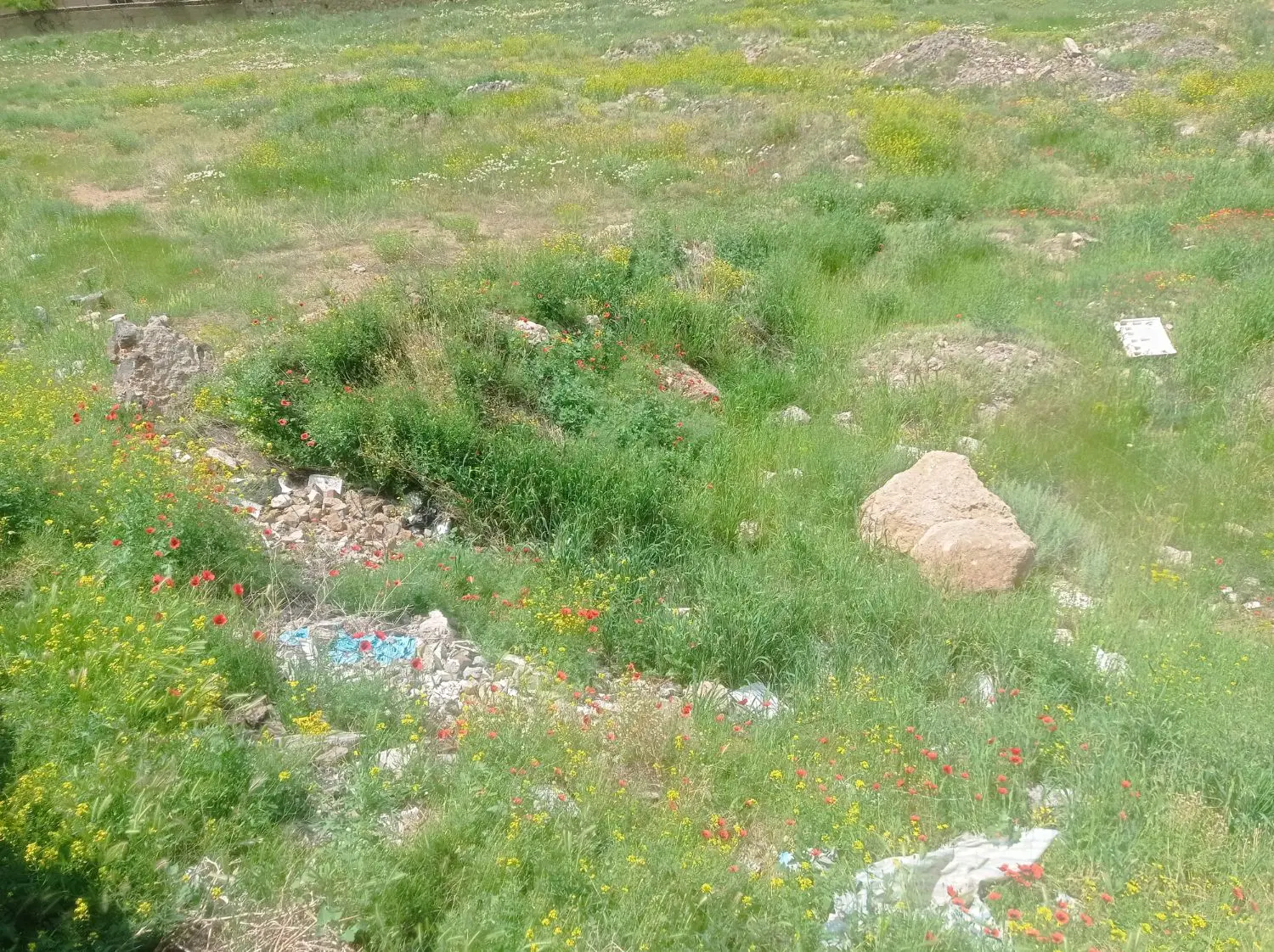فروش قطعه زمین
