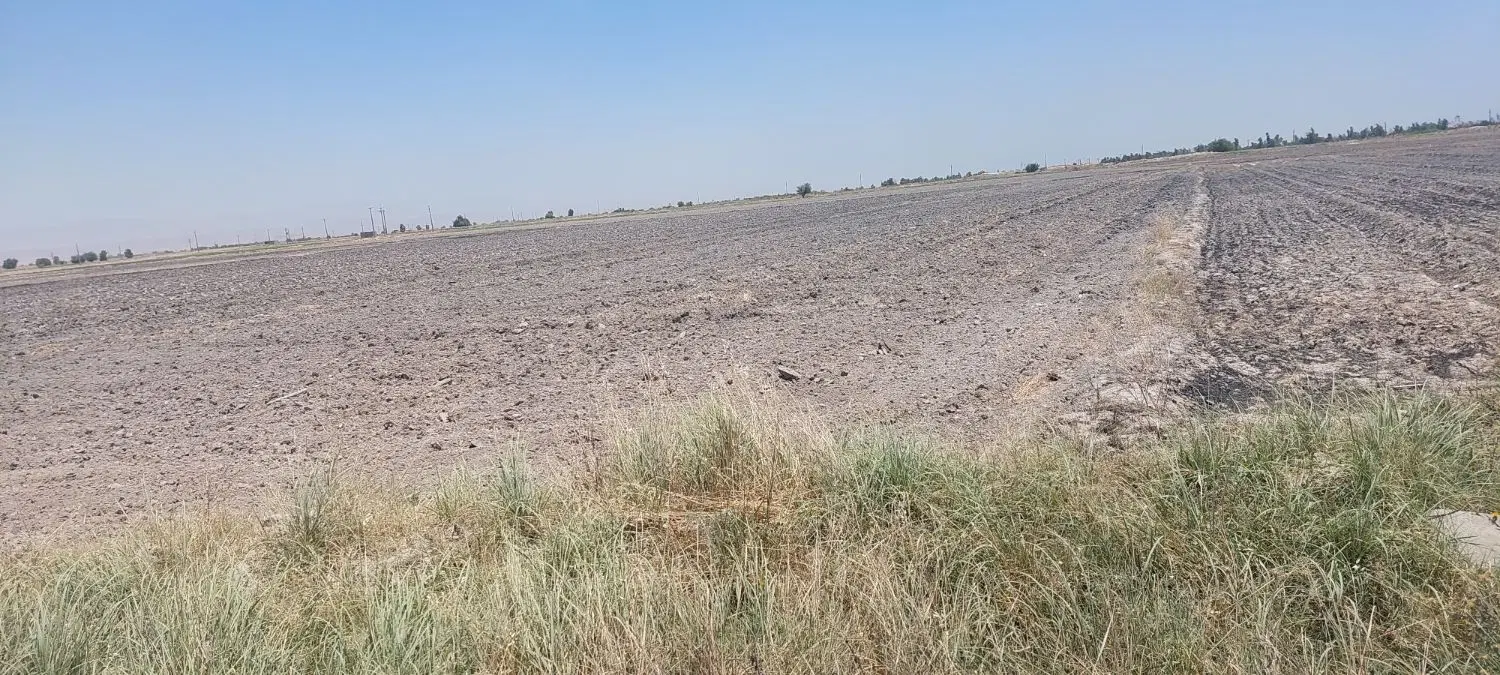 زمین با سنگکاری اسدآبادی