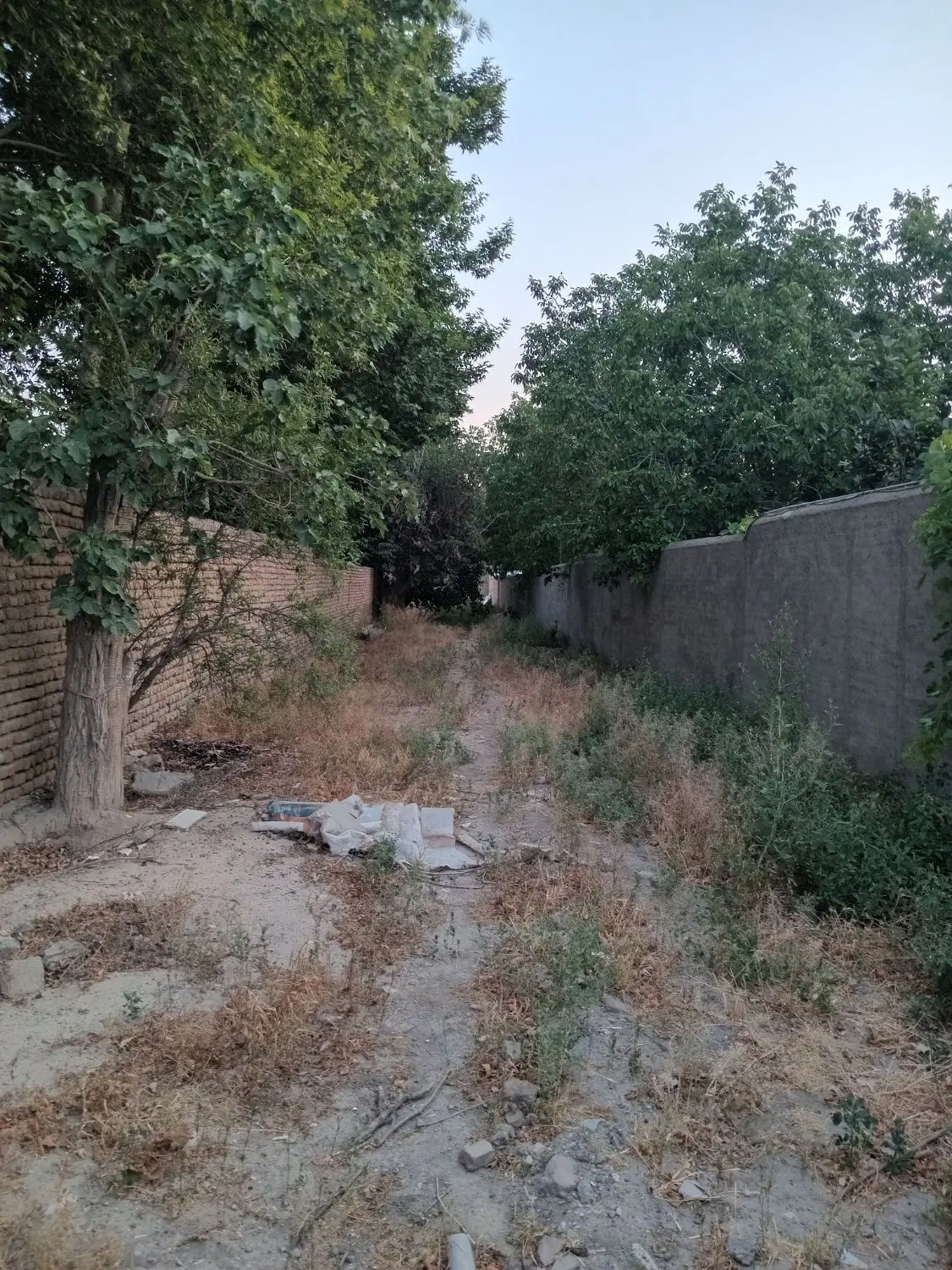 باغچه ۶۷۰ متری سند تک برگ