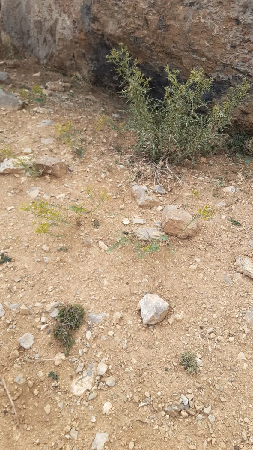 فروش زمین