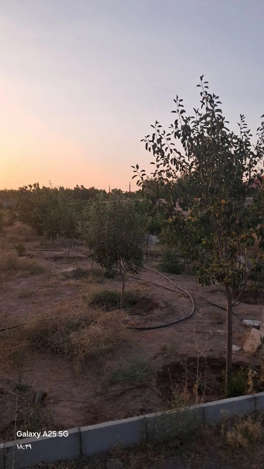 خانه باغ دهنو هماشهر