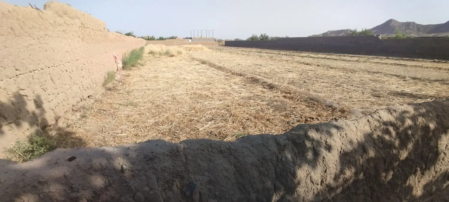 زمین کشاورزی