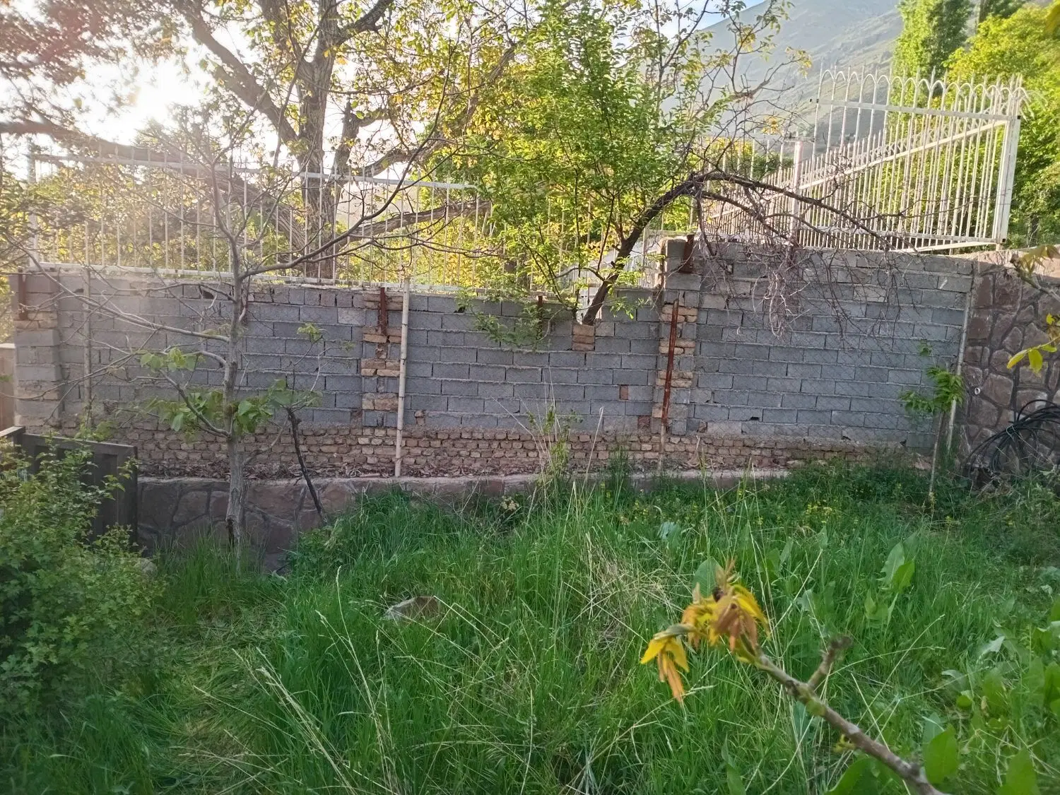 باغچه ۲۰۰متری لواسان فشم روستای امامه بالا