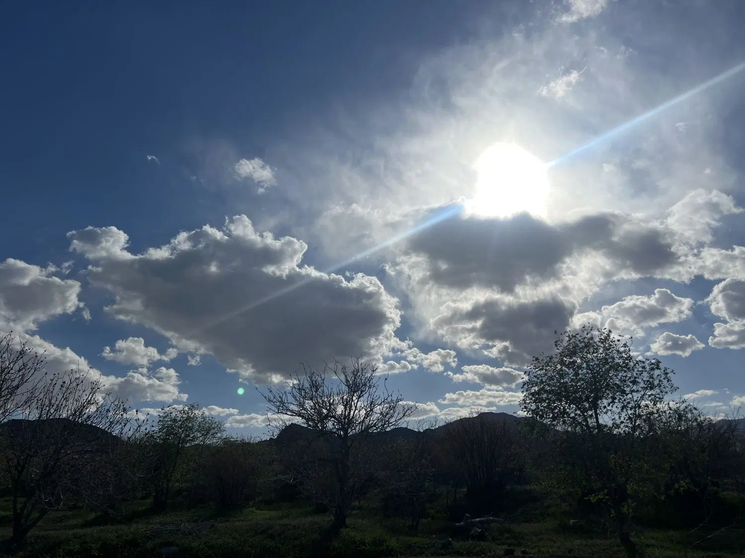 فروش باغ