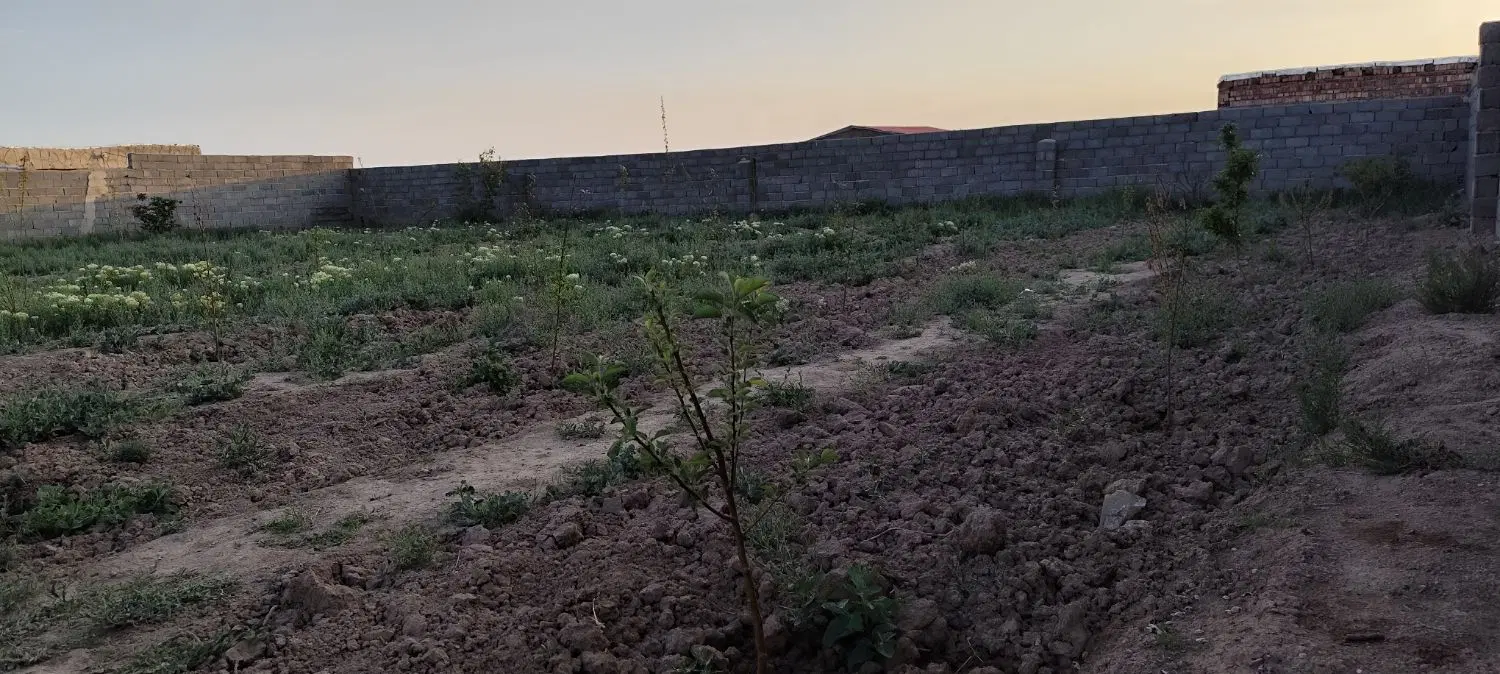 زمین باغ