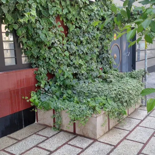 اجاره واحد ۷۵ متری در شهرک شهید رستمی واریان شهر