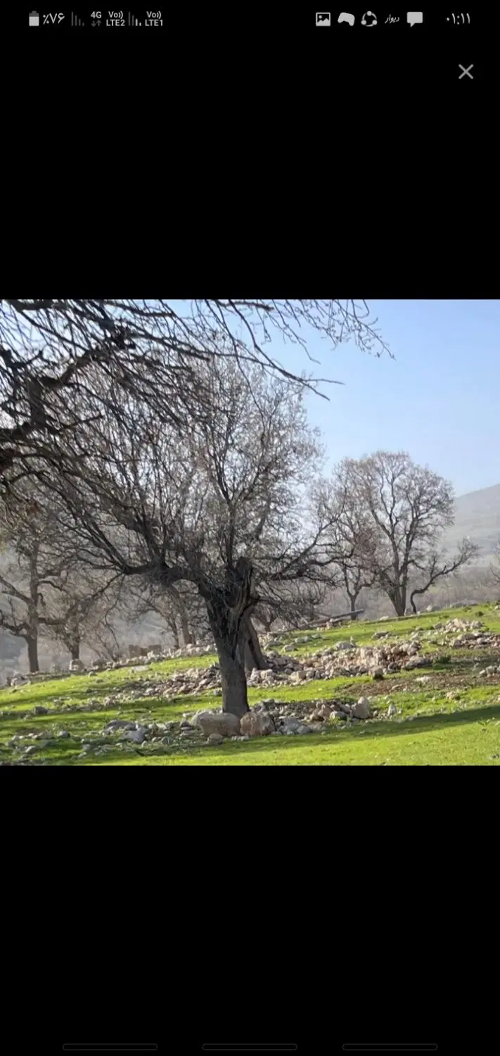 زمین جنب پلیسراه  یاسوج اصفهان