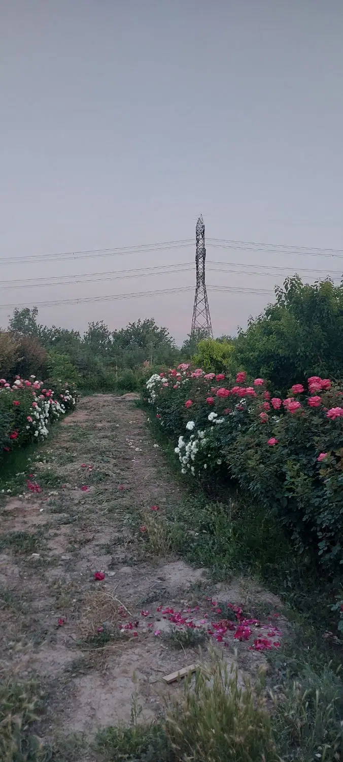 زمین فروشی