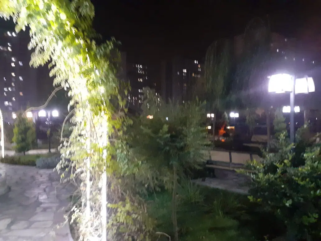 منطقه 22برج باغ ترنج کوهک سند تک برگ