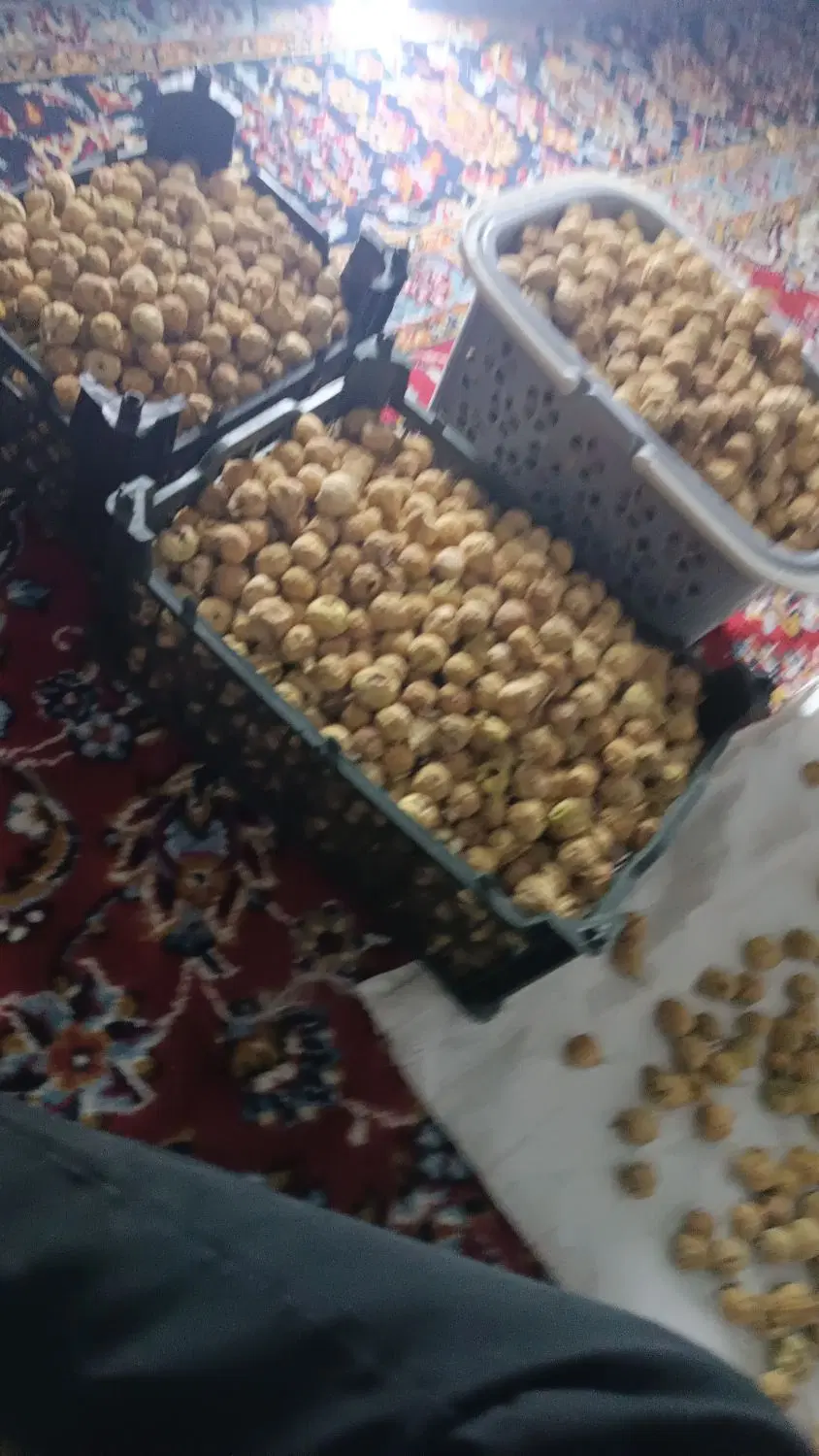 فروش باغ انجیری