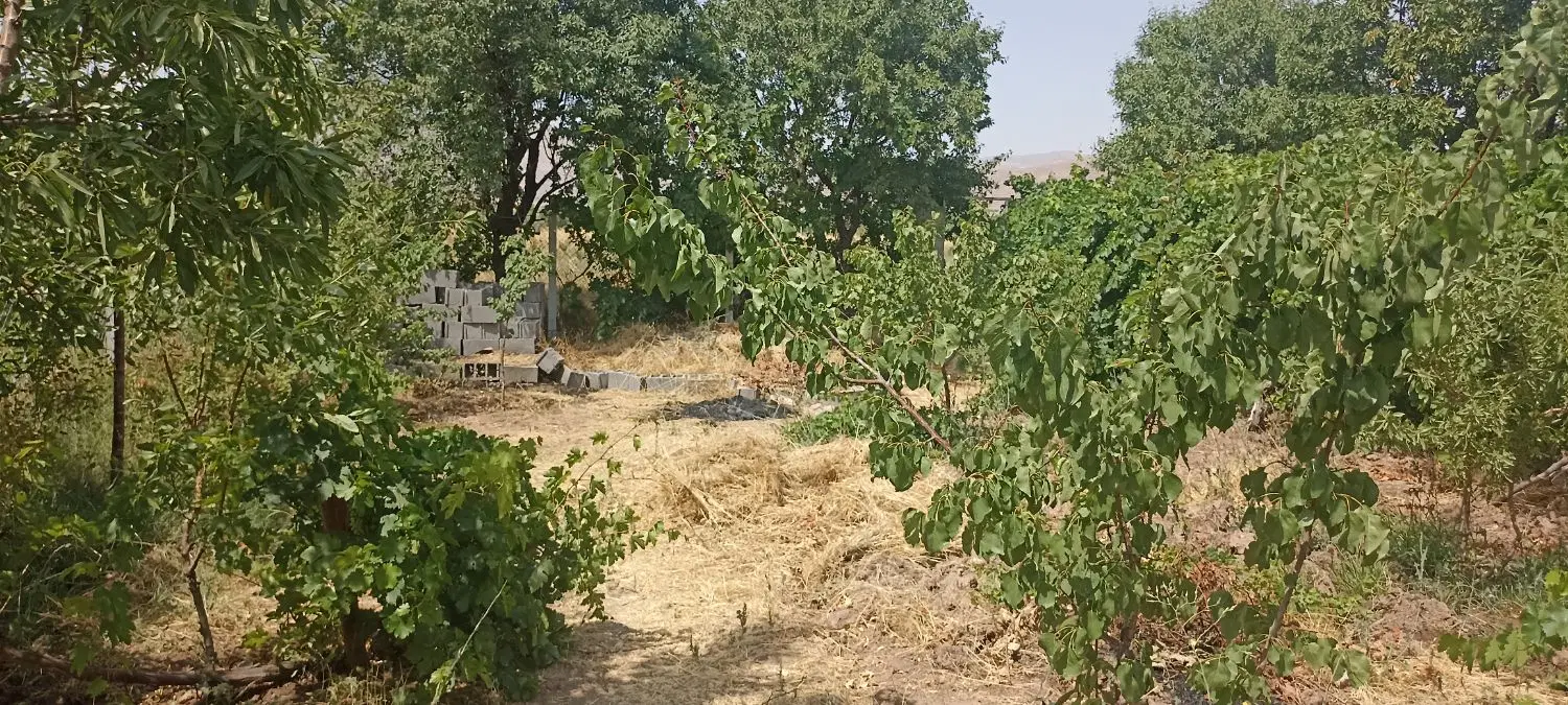 باغ فنس کشی شده300مترمیانبر