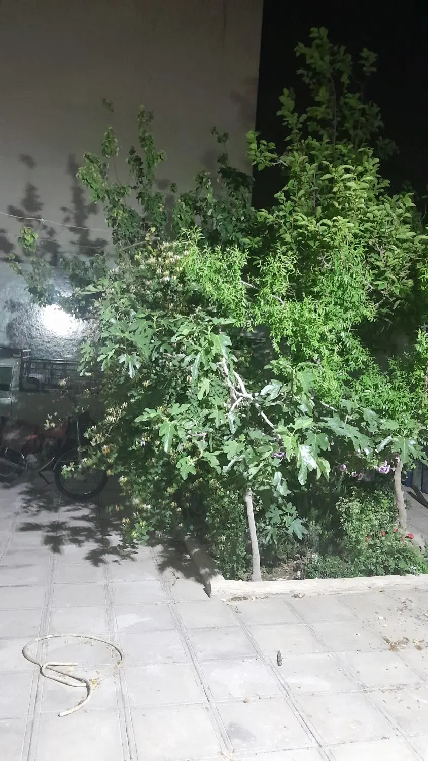 منزل کلنگی قابل سکونت به همراه پروانه ساخت