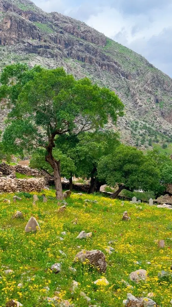 ۲۰۰متر زمین مسکونی دوبر چشمه سفید