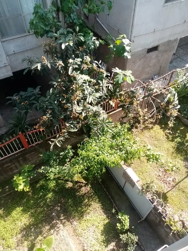 فروش کارخانه فولاد مازندران