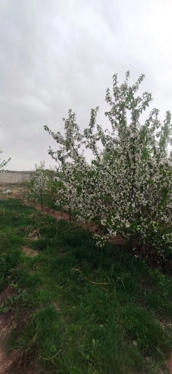 ۴۰۰ متر باغ ابراهیم بیگ هشتگرد