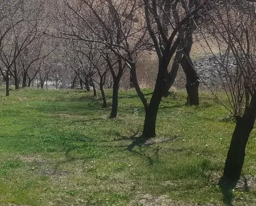 خونه زمین رازبین