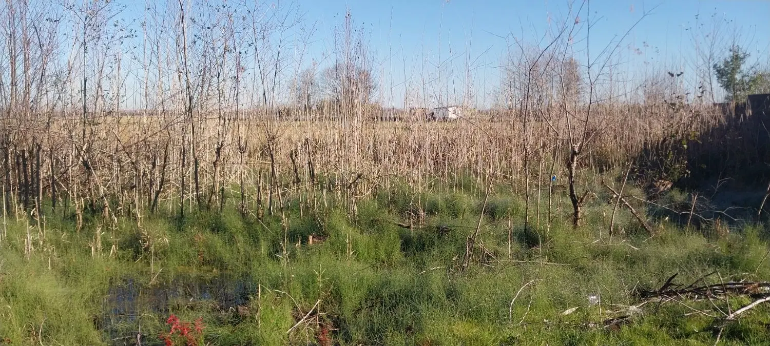 زمین مسکونی