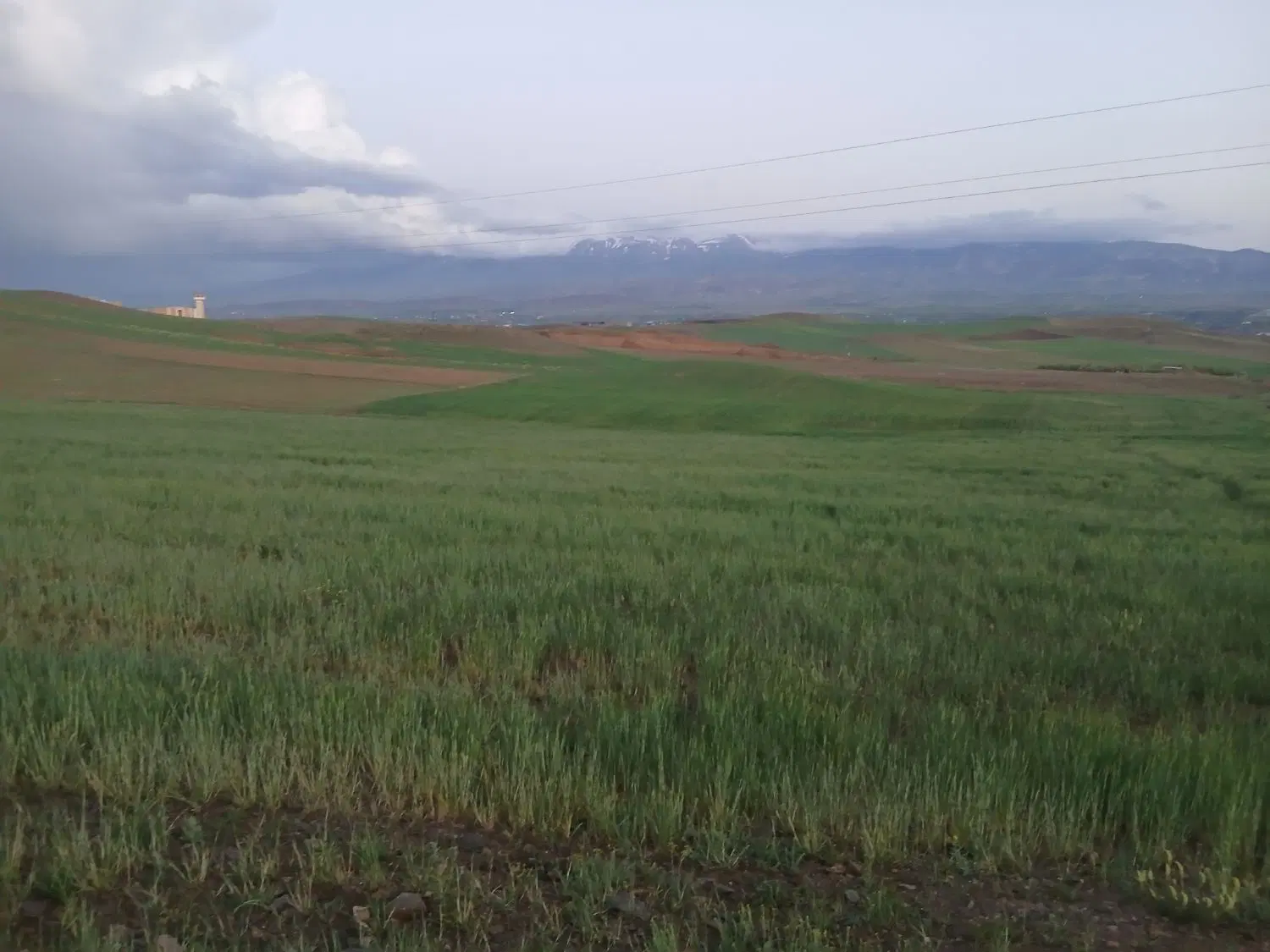 زمین کشاورزی
