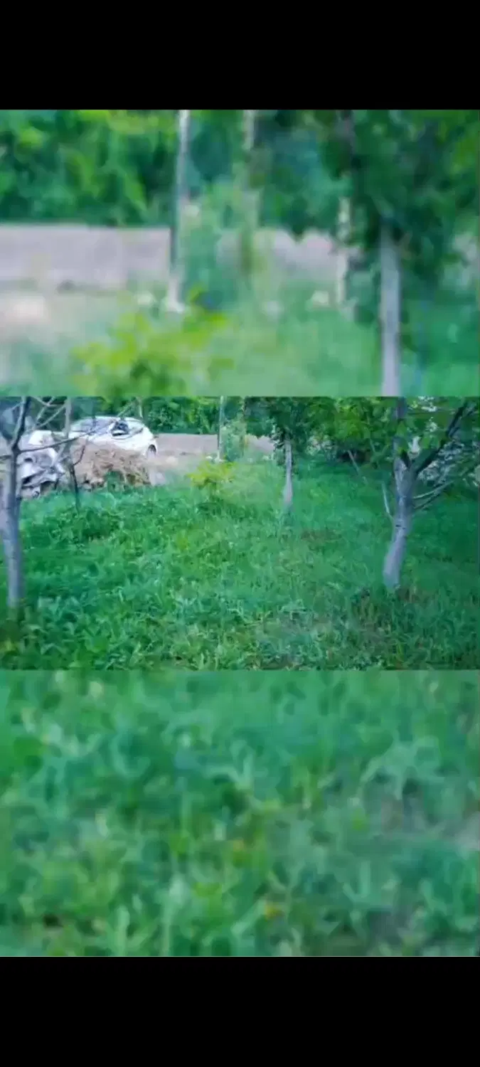 زمین